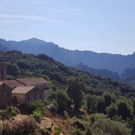 Maison typique en plein cœur de village Arbori Extérieur photo